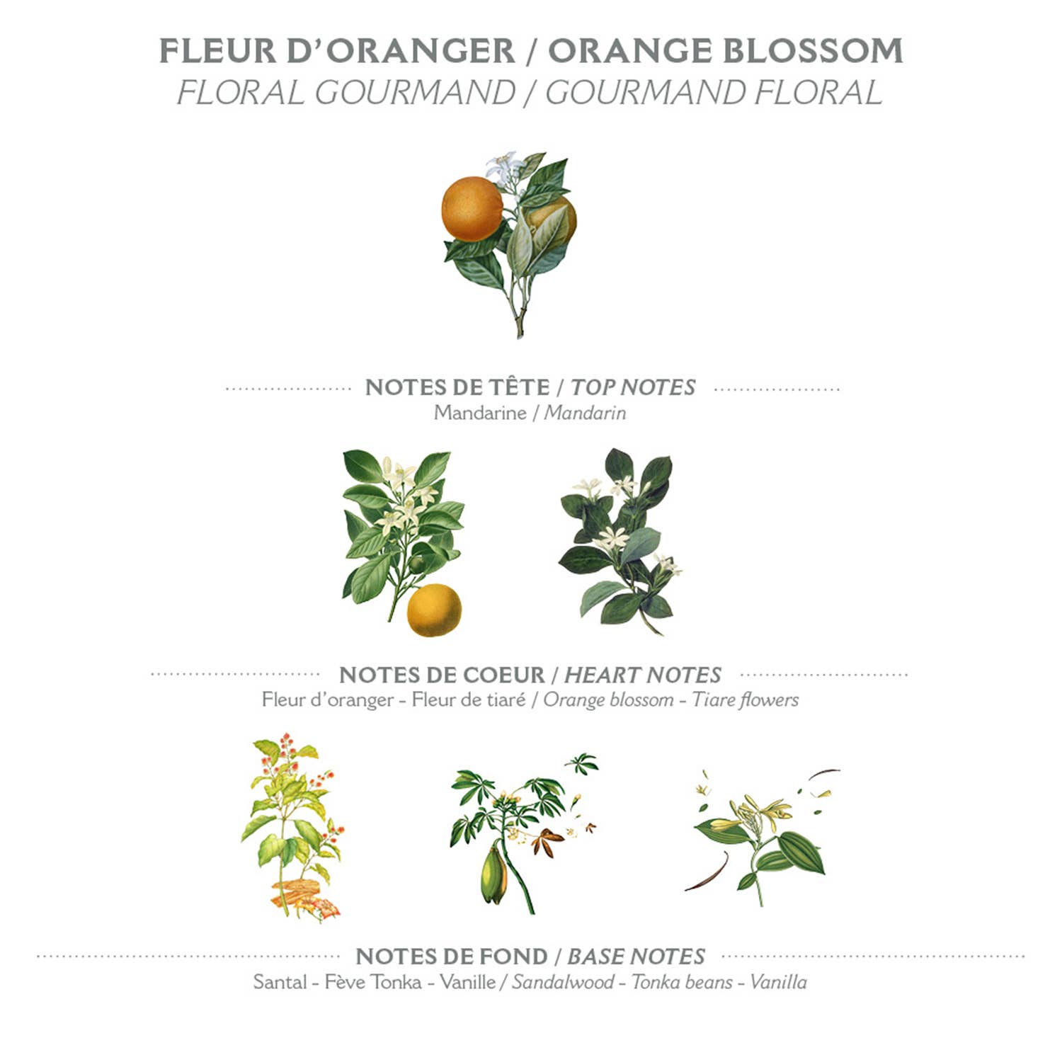 Marseille Flüssigseife Orangenblüte, 500 ml